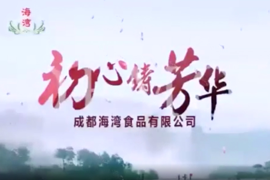 海灣周年慶VCR